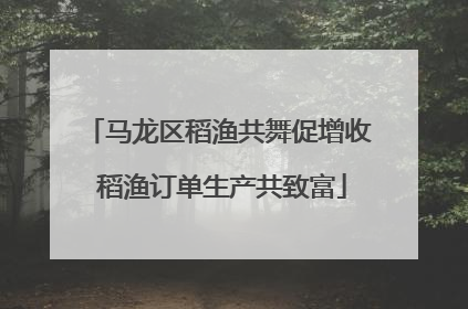 马龙区稻渔共舞促增收 稻渔订单生产共致富