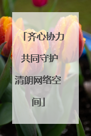 齐心协力 共同守护清朗网络空间