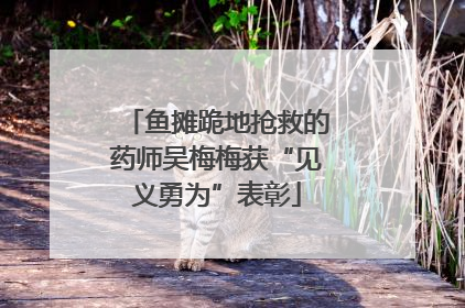 鱼摊跪地抢救的药师吴梅梅获“见义勇为”表彰