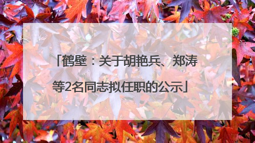 鹤壁：关于胡艳兵、郑涛等2名同志拟任职的公示