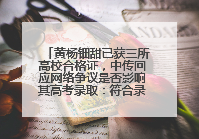 黄杨钿甜已获三所高校合格证，中传回应网络争议是否影响其高考录取：符合录取条件就能录取