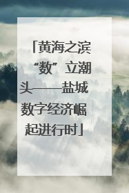 黄海之滨“数”立潮头——盐城数字经济崛起进行时