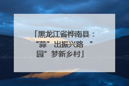 黑龙江省桦南县：“蒜”出振兴路 “园”梦新乡村