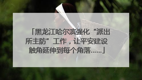 黑龙江哈尔滨强化“派出所主防”工作，让平安建设触角延伸到每个角落……