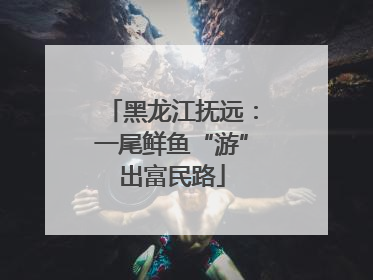 黑龙江抚远：一尾鲜鱼“游”出富民路