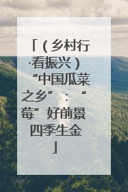 （乡村行·看振兴）“中国瓜菜之乡”：“莓”好前景 四季生金