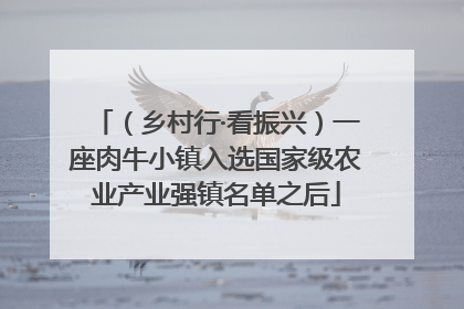 （乡村行·看振兴）一座肉牛小镇入选国家级农业产业强镇名单之后