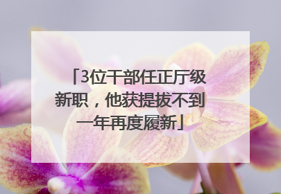 3位干部任正厅级新职，他获提拔不到一年再度履新
