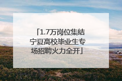 1.7万岗位集结 宁夏高校毕业生专场招聘火力全开