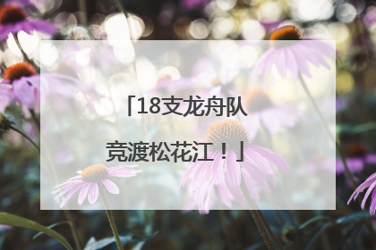 18支龙舟队竞渡松花江！
