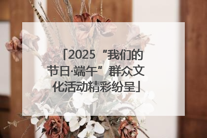 2025“我们的节日·端午”群众文化活动精彩纷呈