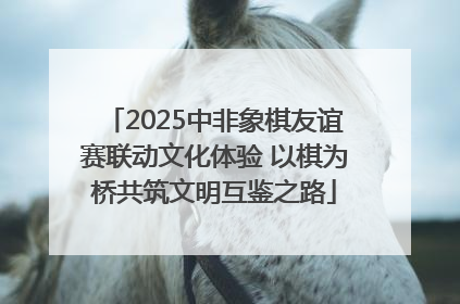2025中非象棋友谊赛联动文化体验 以棋为桥共筑文明互鉴之路