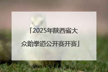 2025年陕西省大众跆拳道公开赛开赛