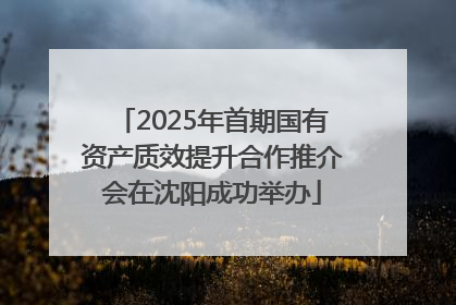 2025年首期国有资产质效提升合作推介会在沈阳成功举办