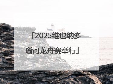 2025维也纳多瑙河龙舟赛举行