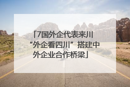 7国外企代表来川 “外企看四川”搭建中外企业合作桥梁