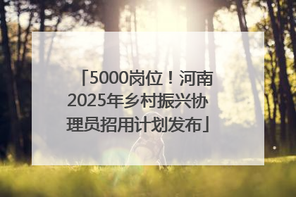 5000岗位！河南2025年乡村振兴协理员招用计划发布