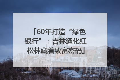 60年打造“绿色银行”：吉林通化红松林藏着致富密码