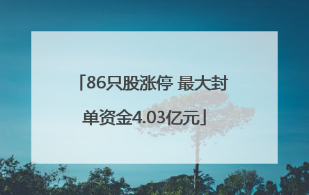 86只股涨停 最大封单资金4.03亿元