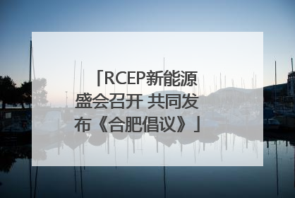 RCEP新能源盛会召开 共同发布《合肥倡议》
